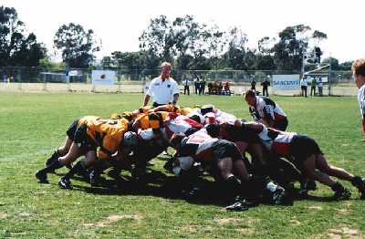 maltalietm.jpg (20851 bytes)