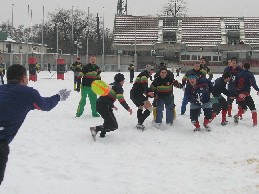 p14_m.JPG (20786 bytes)