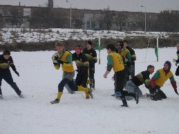 p1_m.JPG (19564 bytes)