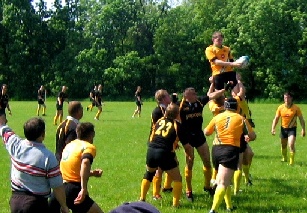 p1m.jpg (49183 bytes)