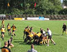 taure1.jpg (10582 bytes)